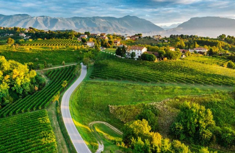 Esperienze alla scoperta del territorio - Hotel Relais Le Betulle Conegliano